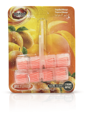 Mango Scent WC Block Set of 2